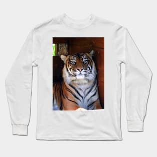 Sumatran Tiger Long Sleeve T-Shirt